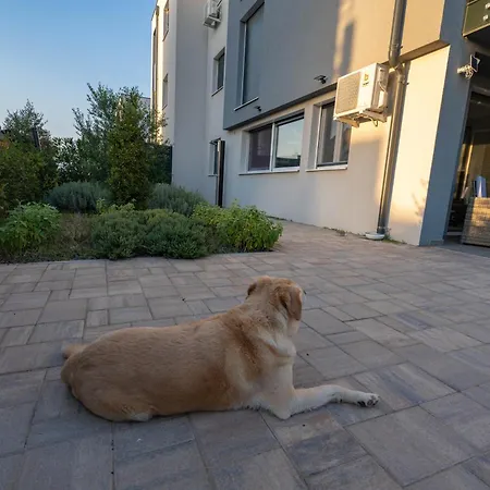 Apartman Lamara 100 Meters To Beach